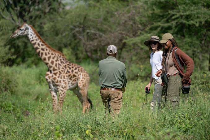 Tanzania Animal Sanctuary