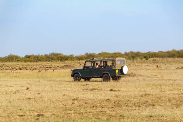 Safari Countries in Africa to Visit